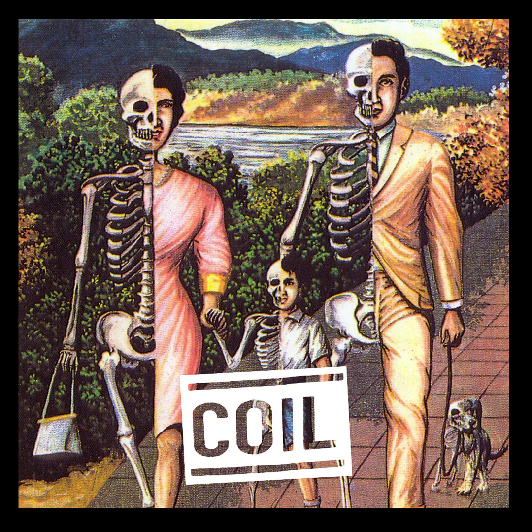 COIL UNNATURAL HISTORY 他　CD６枚 Unnatural History 1 - Amazon.com Music