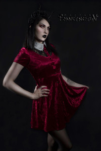Velvet Red Witchy Skater Dress