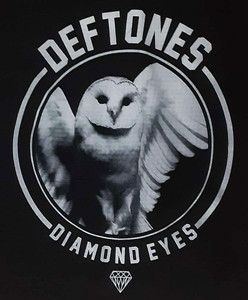 Deftones - Diamond Eyes 14x16" Test Print Backpatch
