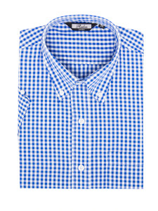 Blue Vintage Style Gingham Print Button-Up Shirt