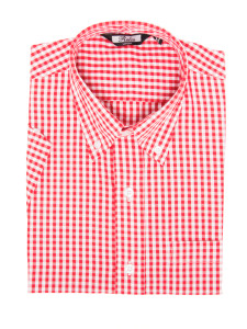 Red Vintage Style Gingham Print Button-Up Shirt