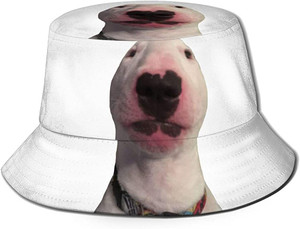 Walter the Dog Bucket Hat