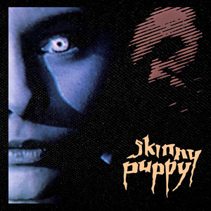 Skinny Puppy - Cleanse, Fold and Manipulate 4x4" Color Patch