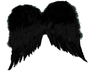 Dark Angel Wings
