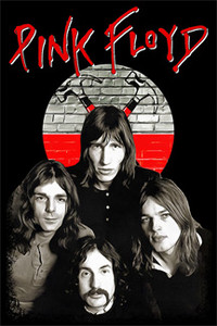Pink Floyd - Members 12x18" Poster