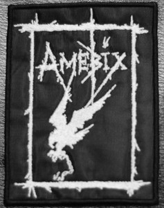 Amebix Crow 4x5" Embroidered Patch Skull