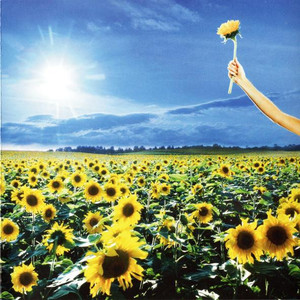 Stone Temple Pilots - Thank You *CD New