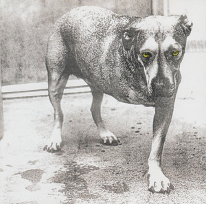 Alice In Chains - S/T *CD New