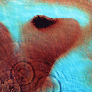 Pink Floyd – Meddle Lp *New