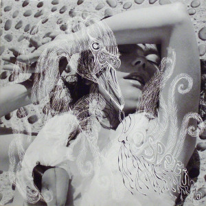 Bjork - Vespertine Lp *New