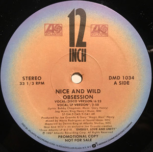 Nice And Wild Obsession Single Lp *Used
