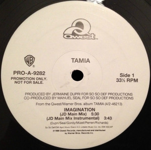 Tamia - Imagination Lp *Used