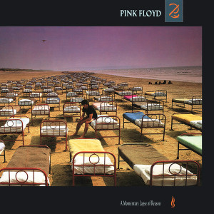 Pink Floyd - A Momentary Lapse Lp *New