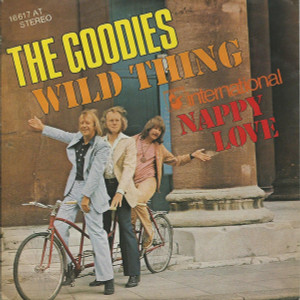 The Goodies – Nappy Love  7" Vinyl