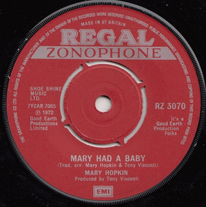 Mary Hopkin - Used 7" Vinyl