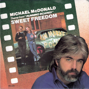 Michael Mcdonald - Sweet Freedom * with sleeve * Used 7" Vinyl