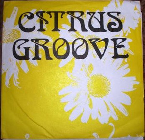 Citrus Groove - Hit The Ground * Used 7" Vinyl