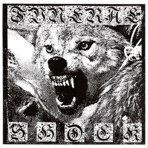 Funeral Shock - Paint Thinner * New 7" Vinyl