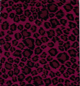 Problems - Modern Pets  7" Vinyl