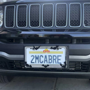 Bat License Plate Frame Chrome