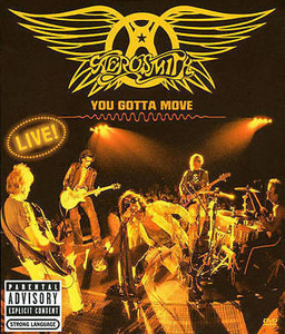 Aerosmith- You Gotta Move *Region 0 * Cd+ Dvd *Used