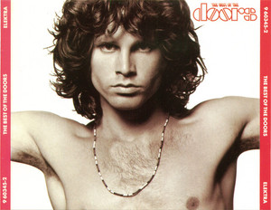 The Doors - The Best Of The Doors *Double Single Case CD *Used