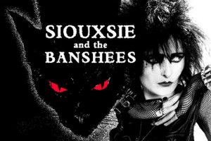 Siouxsie And The Banshees Cat 18x12" Poster