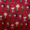 Loungefly Peanuts Charlie Brown Vintage Lunchbox Crossbody Bag/Purse