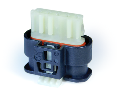 fphys-05-00320-g002.jpg