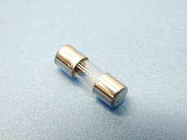 255004