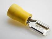 B3675