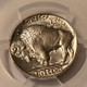 1937-buffalo-nickel-ms65-pcgs-gsh-d