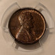 1909-vdb-lincoln-wheat-cent-ms63-bn-pcgs-c