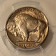 1936-s-buffalo-nickel-ms64-pcgs-d