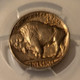 1937-buffalo-nickel-au50-pcgs-toning-d