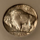 1935-s-buffalo-nickel-ms64plus-icg-d