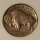 1930 s Buffalo nickel xf40 anacs d