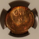 1936 d Lincoln wheat cent ms65 rb ngc d
