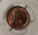 1909 vdb Lincoln wheat cent ms64 rb pcgs c