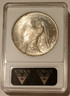 1922-peace-silver-dollar-vam2-clashed-dies-ms64-anacs-b