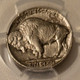1937-buffalo-nickel-au55-pcgs-gsh-c