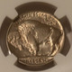1937-s-buffalo-nickel-ms66-ngc-d