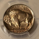 1937-s-buffalo-nickel-ms66-pcgs-toning-d