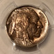 1937-s-buffalo-nickel-ms66-pcgs-toning-c
