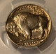 1936-buffalo-nickel-ms66-pcgs-gsh-d