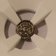 hungary-bela4-silver-obol-hebrew-chet-xf45-ngc-c