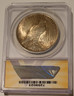 1923 Peace Silver dollar vam-1aL ms62 anacs b