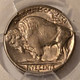 pcgs-1936-s-buffalo-nickel-ms64-pcgs-toning-d