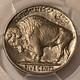 1935-buffalo-nickel-ms64-pcgs-d