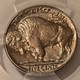 1937-s--buffalo-nickel-ms64-pcgs-gsh-toning-d